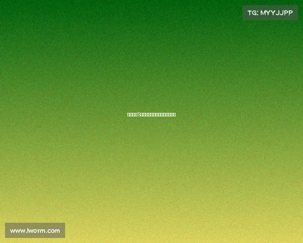 英雄联盟S赛装备选择解析与策略优化指南