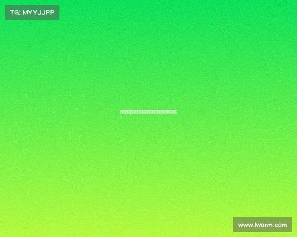 斯图加特与阿森纳就签下法比奥维埃拉展开谈判接触